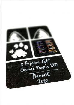 Alternative view of Tianooo The Cat | Pyjama Cat - Cosmic Purple Edition | Fine Art Print