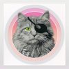 Tianooo The Cat | Pirate Cat | Sticker
