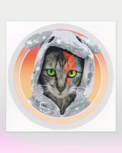 Tianooo The Cat - Pyjama Cat – Stardust Edition - Sticker